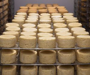 食品生产中的严格质量控制